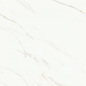 TY8157